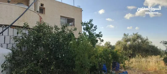  4 بيت للبيع عجلون
