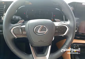  23 Lexus NX350 Hybride,2024,Germany