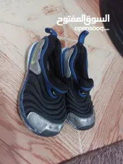  13 ابواط ولادي