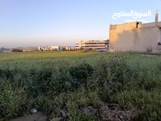  1 قطعه تجاري للبيع في السرو