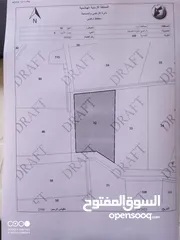  5 مزرعة جوافه للبيع