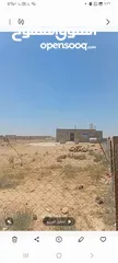  12 الارض في الخالدية للبيع
