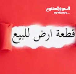  2 أرض بسعر لقطه