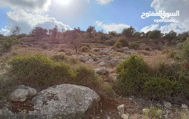  1 أرض جبليه للبيع او البدل في عنبتا تصنيف (أ) واصلها خدمات مالك واحد مفروزه