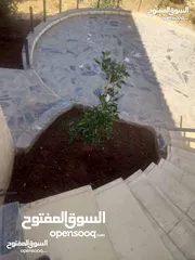  11 لقطه مزرعه مع بيت ريفي 48 الف قابل للتفاوض منطقه ريف جرش