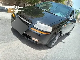  6 شفر أفيو فيها مجال للغانمين
