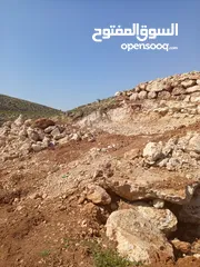  7 ارض  للبيع