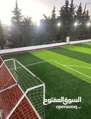  6 عشب ملاعب / عشب حدائق / عشب مدارس / عشب مزارع / عشب صناعي/ نجيل / تارتان Playground grass
