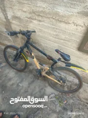  1 بسكاليت للبيع