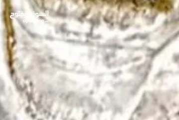  1 قطعة ارض مميزة تصنيف A على جبل للبيع في أريحا النويعمة
