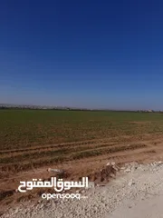  8 اراضــي للبيــع في مادبـــــا حوارة مفروزة سكن أ  وزراعي مميزة مستوية باسعار مناسبة