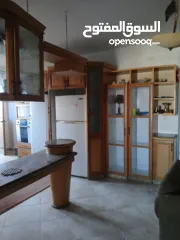  7 شقة مفروشة للايجار في المصايف