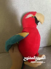  2 ببغاء بجنن لااطفال فاخر جداً