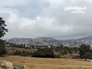  8 ارض للبيع أجمل مناطق وادي السير موقع هادئ ومطل  ممتاز للبناء أو الاستثمار من المالك مباشرة