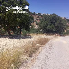 3 اراضي منطقة عمان الغربيه منطقة زبدا