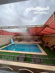  18 شاليه و مزرعه للايجار بالغور 50 دينار مسبح مدفأ 4*8 بدون عربون مع بلياردو و ترامبولين