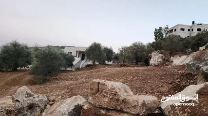  5 كوبر / أرض للبيع مساحه 750 متر مشجره بالزبتون