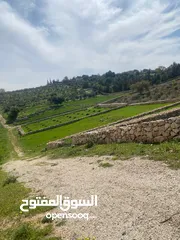  4 دنم ارض للبيع في السلط الصبيحي ميسره بالقرب من مطعم الطلع الغربيه