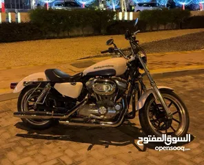  3 Harley Davidson Sportster XL 883 2015