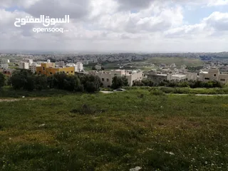  5 ارض للبيع في أربـــــــــــــــــــد ــ ناطفه