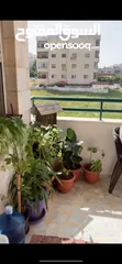  2 شقة مميزة البيع الكاش فقط بموقع ومساحة مميزة