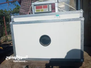  4 فقاسة بيض دجاج و فري