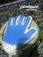  5 مستلزمات قطط