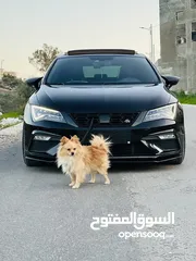  1 سيات ليون FR 2020/19 فل