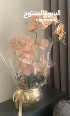  2 متفرقه ديكويه