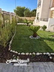  1 يتوفر جميع أنواع الاشجار  حمضيات لوزيات شجر زينه نسعد بخدمتكم