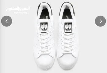 12 Adidas Superstar new
