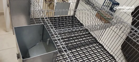  6 rabbit cage