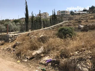  3 قطعة أرض للبيع 1501م2 – طابو (ألف) سنجر / دورا / الخليل – خلة مناع الحي الغربي – حوض رقم 5 على شارع