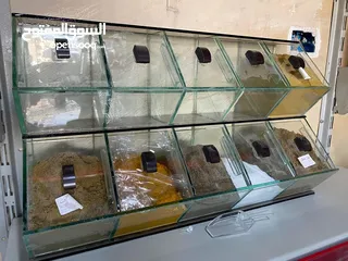  5 ستاندات بزر وبهارات لاصحاب السوبر ماركت والمحامص