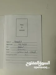  6 كلب زينه مخلص مطعيم معها دفترمطعيم