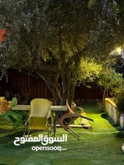  27 شقق مفروشه للايجار اليومي ومزارع واكواخ  ومسابح مع اجمل الاطلالات خصوصيه كامله