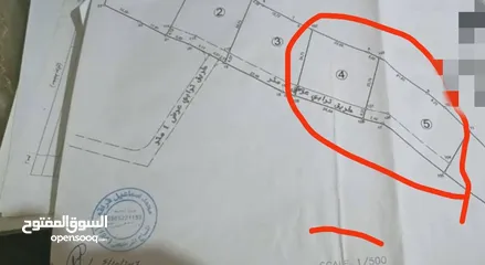  2 ارض للبيع في منطقة واد رحال حوض البيضة الجنوبي الشراء من المالك مباشره