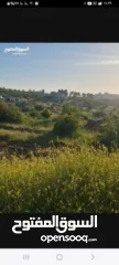  1 ارض للبيع في كفر نعمه صالحه للبيناء مساحه 5002متير طابو سعر الارض 38الف دينار