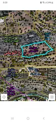  1 أرض زراعية بحالة ممتازة جدا وبسعر ممتاز جدا جدا  نظرا للظروف السيئة التي تمر بها البلاد