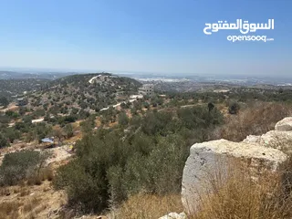  29 شركة عقارات اطلالة على البحر