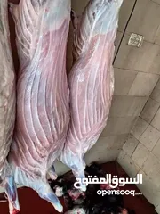  1 لحام جزار متنقل داخل مادبا وضواحيها