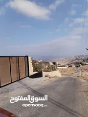  7 5 دنمات دخلة مطعم خيل وليل اكثر من قطعة