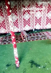  23 خيم شعر تراثيه  حجم 8م×4م يوجد أحجام أخرى حسب الطلب  الخيم جديده ولا يوجد  مستعمله