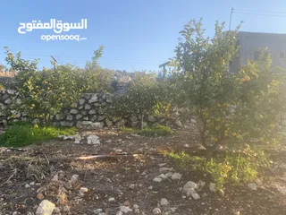  24 مزرعة للبيع في يرقا-السلط، إسكان المهندسين