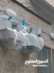  1 جوز روز مع ذكر للبيع بسعر ممتاز حرق حرق حرق