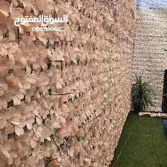  4 مزرعة لاليجار اليومي مناسبة جدا طريق المطار 8 دقايق الدوار السابع