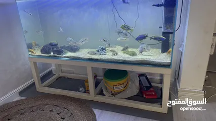  3 151x45cm fish tank