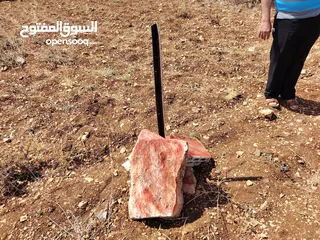  1 قطعة أرض بكوشان مستقل