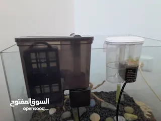  3 حوض سمك كريستال