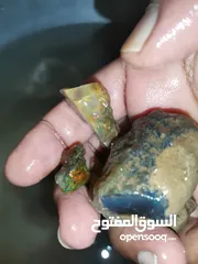  28 حجركريم اوبال Opal لخاتم